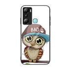 For Infinix Hot 20i Colorful Painted Glass Phone Case(Owl) - 1