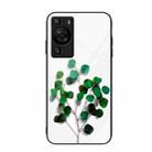 For Huawei P60 Colorful Painted Glass Phone Case(Sapling) - 1