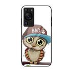 For Huawei P60 Colorful Painted Glass Phone Case(Owl) - 1