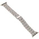 3-Beads Stripe Metal Watch Band For Apple Watch 4 44mm(Starlight) - 2