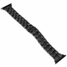 3-Beads Stripe Metal Watch Band For Apple Watch Series 10 42mm(Black) - 2