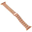 3-Beads Stripe Metal Watch Band For Apple Watch Series 10 42mm(Rose Gold) - 2