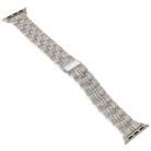 3-Beads Stripe Metal Watch Band For Apple Watch Series 10 42mm(Starlight) - 2