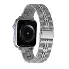 3-Beads Stripe Metal Watch Band For Apple Watch Series 10 42mm(Silver) - 1