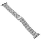 3-Beads Stripe Metal Watch Band For Apple Watch Series 10 42mm(Silver) - 2