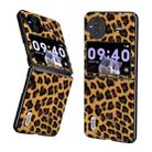 For vivo X Flip ABEEL Black Edge Leopard Phone Case(Golden Leopard) - 1