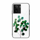 For vivo iQOO Z7 Colorful Painted Glass Phone Case(Sapling) - 1