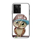 For vivo iQOO Z7 Colorful Painted Glass Phone Case(Owl) - 1