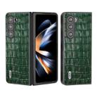 For Samsung Galaxy Z Fold6 ABEEL Crocodile Texture Genuine Leather Phone Case(Green) - 1