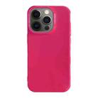 For iPhone 12 Pro Shockproof Solid Color TPU Phone Case(Rose Red) - 1