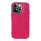 For iPhone 11 Pro Max Shockproof Solid Color TPU Phone Case(Rose Red) - 1