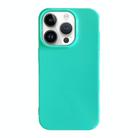 For iPhone 15 Pro Max Shockproof Solid Color TPU Phone Case(Glacier Green) - 1