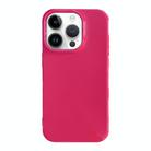 For iPhone 15 Pro Max Shockproof Solid Color TPU Phone Case(Rose Red) - 1