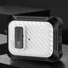 For AirPods Pro 2 Alpha Carbon Fiber Wireless Bluetooth Earphone Protective Case(White) - 1