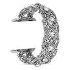 Diamonds Twist Metal Watch Band For Apple Watch 3 38mm(Silver) - 1