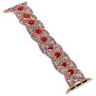 Diamonds Twist Metal Watch Band For Apple Watch Series 10 42mm(Rose Gold Red) - 2