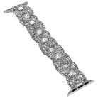 Diamonds Twist Metal Watch Band For Apple Watch Series 10 42mm(Silver) - 2