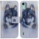 For Nokia C12 Coloured Drawing Flip Leather Phone Case(White Wolf) - 1