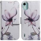 For Nokia C12 Coloured Drawing Flip Leather Phone Case(Magnolia) - 1