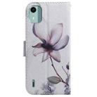 For Nokia C12 Coloured Drawing Flip Leather Phone Case(Magnolia) - 3