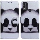 For Nokia C22 Coloured Drawing Flip Leather Phone Case(Panda) - 1