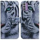For Nokia G42 Coloured Drawing Flip Leather Phone Case(Tiger) - 1