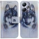 For Infinix Hot 30 Play Coloured Drawing Flip Leather Phone Case(White Wolf) - 1