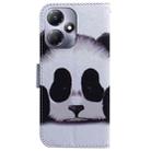 For Infinix Hot 30 Play Coloured Drawing Flip Leather Phone Case(Panda) - 3