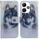 For Infinix Hot 30i Coloured Drawing Flip Leather Phone Case(White Wolf) - 1