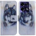 For Infinix Note 30 Coloured Drawing Flip Leather Phone Case(White Wolf) - 1