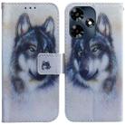 For Infinix Hot 30 Coloured Drawing Flip Leather Phone Case(White Wolf) - 1