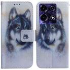 For Infinix Note 30i Coloured Drawing Flip Leather Phone Case(White Wolf) - 1