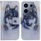 For Infinix Note 30 VIP Coloured Drawing Flip Leather Phone Case(White Wolf) - 1