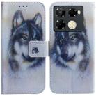 For Infinix Note 40 Pro 5G / 40 Pro 4G Coloured Drawing Flip Leather Phone Case(White Wolf) - 1