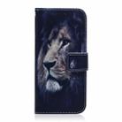 For Infinix Note 40 Pro+ 5G Coloured Drawing Flip Leather Phone Case(Lion) - 3