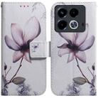 For Infinix Note 40 4G Coloured Drawing Flip Leather Phone Case(Magnolia) - 1