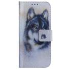 For Infinix Hot 50 5G Coloured Drawing Flip Leather Phone Case(White Wolf) - 2