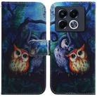 For Infinix Note 40 5G Coloured Drawing Flip Leather Phone Case(Oil Painting Owl) - 1