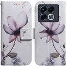 For Infinix Note 40 5G Coloured Drawing Flip Leather Phone Case(Magnolia) - 1