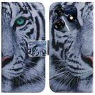 For Tecno Spark 10 Pro Coloured Drawing Flip Leather Phone Case(Tiger) - 1