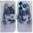 For Tecno Spark 10 / Spark 10C Coloured Drawing Flip Leather Phone Case(White Wolf) - 1