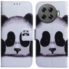 For Tecno Spark 20 Pro+ 4G Coloured Drawing Flip Leather Phone Case(Panda) - 1