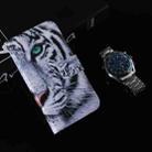 For Tecno Camon 30 4G / 30 5G CL6 CL7 Coloured Drawing Flip Leather Phone Case(Tiger) - 2