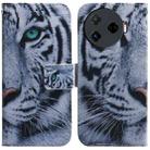 For Tecno Camon 30 Pro CL8 Coloured Drawing Flip Leather Phone Case(Tiger) - 1