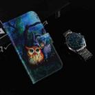 For Tecno Pova 6 Pro / Pova 6 Coloured Drawing Flip Leather Phone Case(Oil Painting Owl) - 2