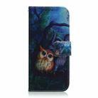 For Tecno Pova 6 Pro / Pova 6 Coloured Drawing Flip Leather Phone Case(Oil Painting Owl) - 3