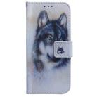 For Tecno Spark 30C Coloured Drawing Flip Leather Phone Case(White Wolf) - 2