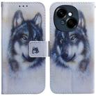 For Tecno Spark Go 1 / Pop 9 Pro Coloured Drawing Flip Leather Phone Case(White Wolf) - 1