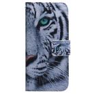 For Tecno Spark Go 1 / Pop 9 Pro Coloured Drawing Flip Leather Phone Case(Tiger) - 2