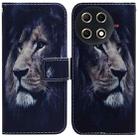For Tecno Camon 30S / Camon 30S Pro Coloured Drawing Flip Leather Phone Case(Lion) - 1